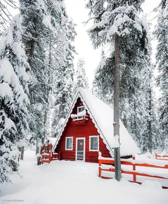 Сказочный домик в лесу зимой - обои на рабочий стол