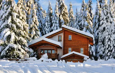 Прекрасный домик, зимний лес, сказка😍: remont_kvartiri — LiveJournal