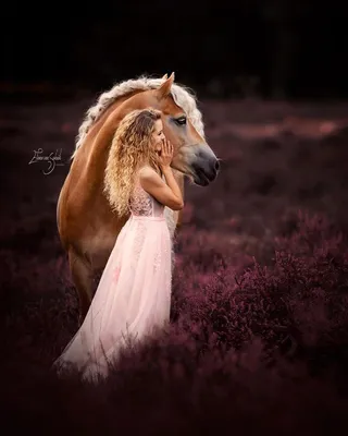 Сказочный конь (62 фото) | Фотографии лошадей, Лошади, Картина лошади