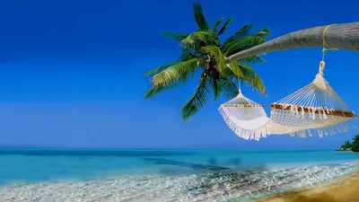 KOKON Estet - Скоро лето, а значит отпуск, море и релакс! А куда вы  предпочитаете ездить в отпуск?🌅 | Facebook