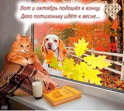 Картинки скоро ноябрь 62 фото