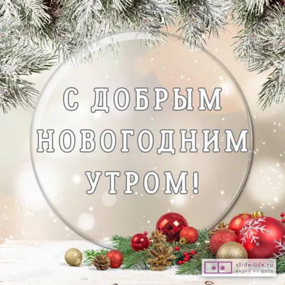 ⚡ Дорогие друзья! Очень скоро, а именно 31 декабря, состоится незабываемая  новогодняя ночь в уютном московском ресторане «White Rabbit»!… | Instagram