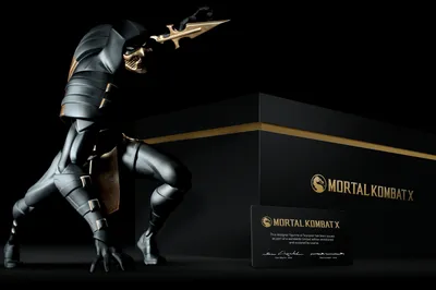 Mortal Kombat X lets you buy easier fatalities - Polygon, mortal kombat  fatality scorpion - thirstymag.com