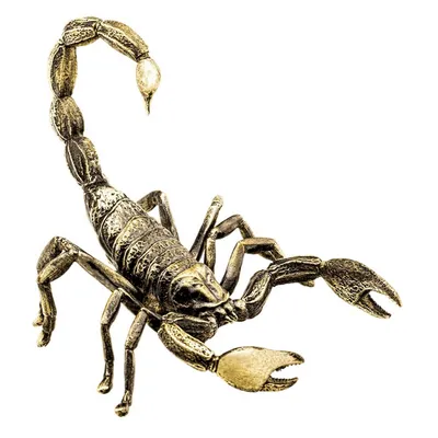 Все о Скорпионе: интересные факты и особенности знака зодиака | Знаки  Зодиака | Дзен
