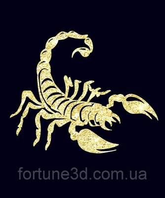 Императорский скорпион (Pandinus Imperator) | MasterZoo