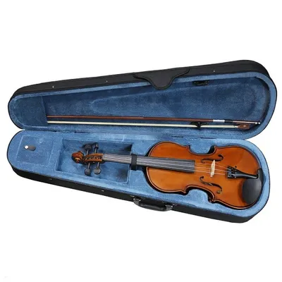 2,670 скрипки стоковые фото – бесплатные и стоковые фото RF от Dreamstime