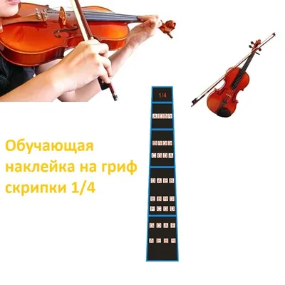 Скрипки всех размеров (id 3402632), купить в Казахстане, цена на Satu.kz