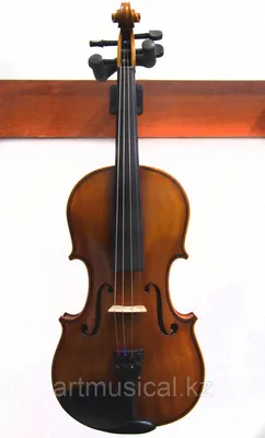 Уроки скрипки в музыкальной школе для взрослых и детей – Виртуозы