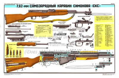 Почему в Советской Армии карабин СКС заменили на «Калаш»- главные причины |  Две Войны | Дзен