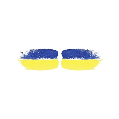 Патриотический баннер \"Флаг Украины, подсолнухи. Слава Украине\" 3х2м.  Фотозона (без каркаса) (ID#1601303092), цена: 1842 ₴, купить на Prom.ua