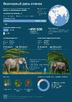 Африканские Слоны Род Включающий Два Вида Живых Слонов Африканского  Кустарникового Слона И Меньшего Африканского Лесного Слона — стоковые  фотографии и другие картинки Африка - iStock