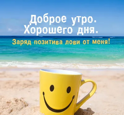 Pin by Турмышов Александр on С добрым утром. | Funny emoticons, Smiley  emoji, Funny emoji