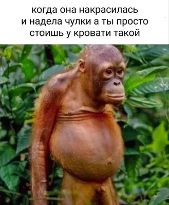 Самые смешные фотки