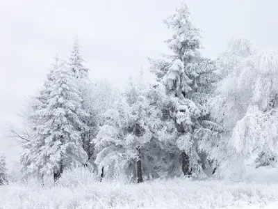Картинки Снег фотографии
