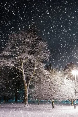 А снег идет | Снег, Фотографии фонов, Зима