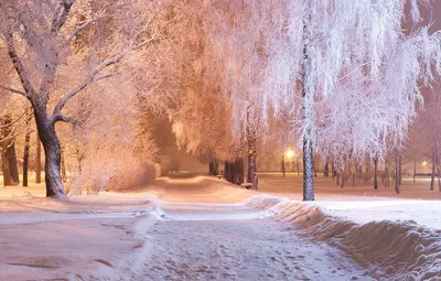 Первый снег выпадет на всей территории Центральной России