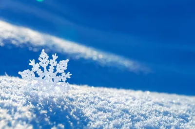 Синоптики прогнозируют небольшой снег на территории Якутии - Информационный  портал Yk24/Як24