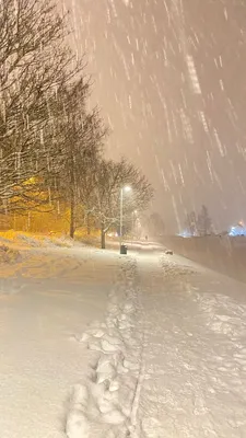 Народные приметы: снег идет - к дождливому лету | Вслух.ru