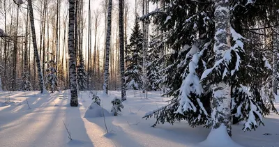 Ждём снег | Winter scenery, Winter scenes, Winter pictures