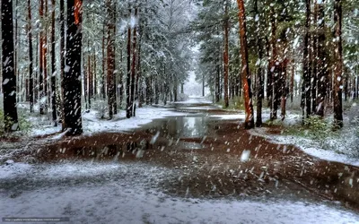 Падает снег в парке рисунок …» — создано в Шедевруме
