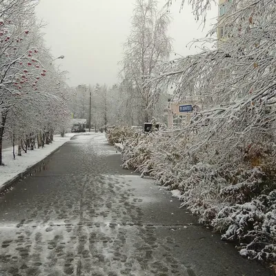 Москвичам пообещали снег в середине ноября - Погода Mail.ru