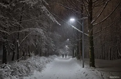 Фотография ночь, улица, фонарь зимние Природа снега 1920x1080