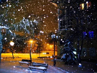 Снегопад ночью (19 фото) - 19 фото