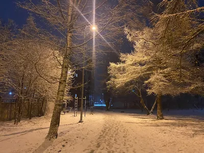 Сильный снег прогнозируют в Псковской области этой ночью : Псковская Лента  Новостей / ПЛН