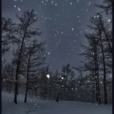 Ночной снегопад...: luchar — LiveJournal