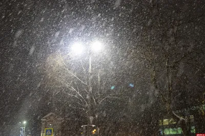 Ночной снегопад фотография автора alexn фото номер 353179 фотка на  ФотоПризер