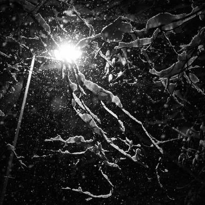 Ночной снегопад...: luchar — LiveJournal