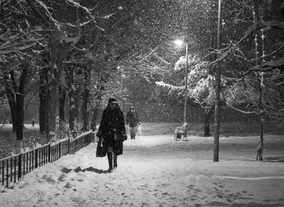 Вечером Николаевскую область накрыл снегопад