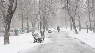 На город обрушится снегопад»: синоптик Шувалов — о погоде в Москве на  выходных