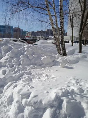 Снегопад в городе или откопай себя сам. | Дивный троЛЪ | Дзен