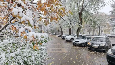 Как передвигались по улицам Петербурга после самого сильного снегопада за  последние 128 лет? — «Смешное» на DRIVE2