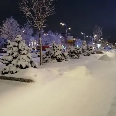 Городские службы ликвидируют последствия мощного снегопада в столице ::  Новости :: ТВ Центр