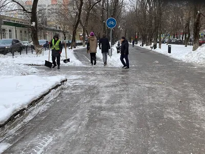 Сильный снегопад с метелью пообещали воронежцам в ближайшие сутки