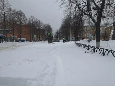 Снегопад накрыл Брест 11 декабря. Ситуация в городе и области (обновляется)