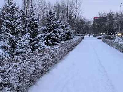Прогулка по городу после вчерашнего снегопада