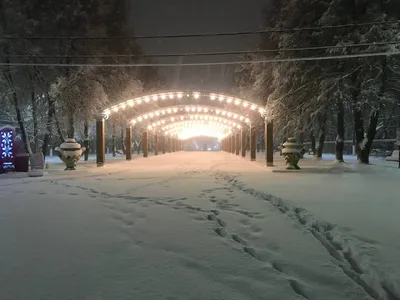 Мощный снегопад обрушится на Волгоград после выходных