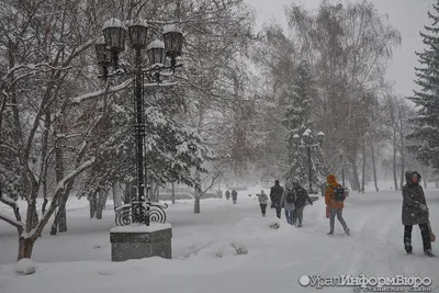 Снегопад. Первый снег в Москве. Дома, двор. Снег осенью, в городе Stock  Photo | Adobe Stock