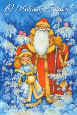 Дед Мороз и Снегурочка вместе с вами в Новый год! - ROMAR_fireworks