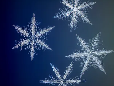 Эти фото заставят вас полюбить зиму: невероятные снимки снежинок и мыльных  пузырей - KP.RU