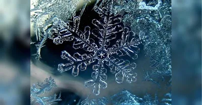 Новогодний декор из снежинок: 8 идей, которые вас очаруют — BurdaStyle.ru