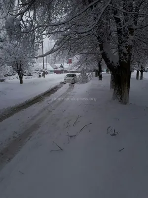 Выпавший в Московском регионе снег может пролежать до весны - В регионе -  РИАМО в Реутове