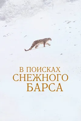 ХI Республиканский экологический фестиваль «Земля снежного барса»