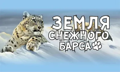 Добровольческая экспедиция «По следам снежного барса» прошла в Республике  Алтай