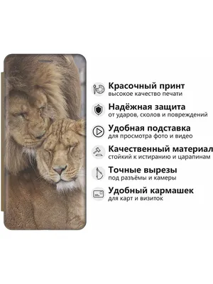 Векторная иллюстрация с мультяшным улыбающимся львом и надписью \"Будь  храбрым\" на фоне зеленого горошка. - Ozero - российский фотосток