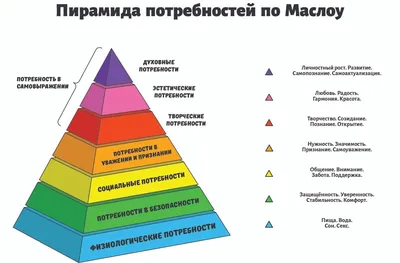 Найти смысл жизни. Что стоит учитывать людям после 40 лет? | Психология  жизни | Здоровье | Аргументы и Факты