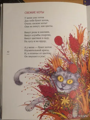 Набережая: последние новости на сегодня, самые свежие сведения | 29.ru -  новости Архангельска